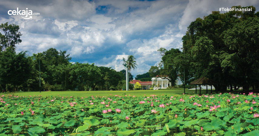  Tempat Wisata Di Bogor Yang Murah 2019